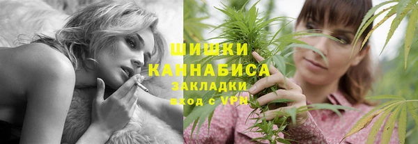 стафф Каменногорск