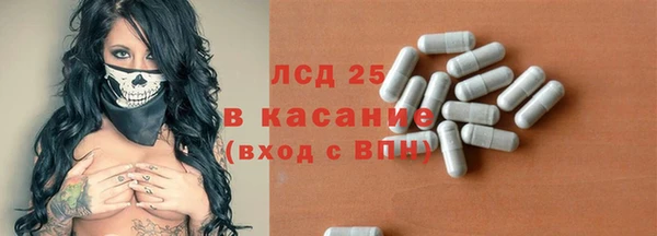 стафф Каменногорск