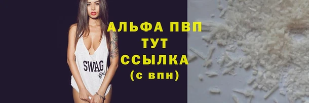 стафф Каменногорск