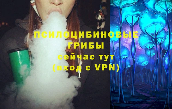 стафф Каменногорск
