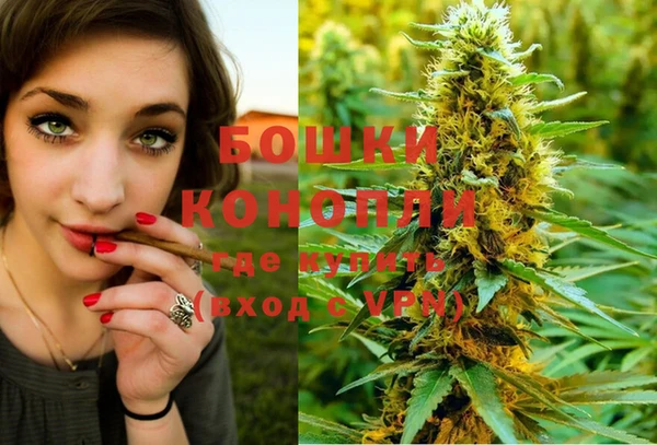 стафф Каменногорск
