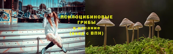 стафф Каменногорск