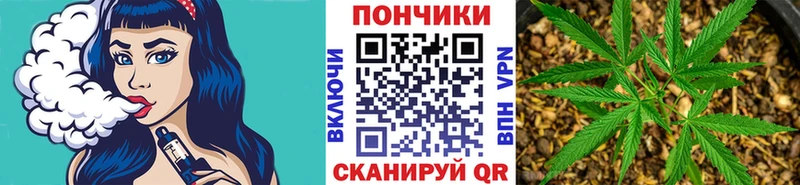 Шишки марихуана THC 21%  Купить  Гатчина 